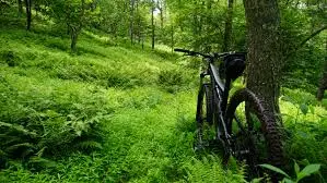 4 andar de bicicleta emagrece 1